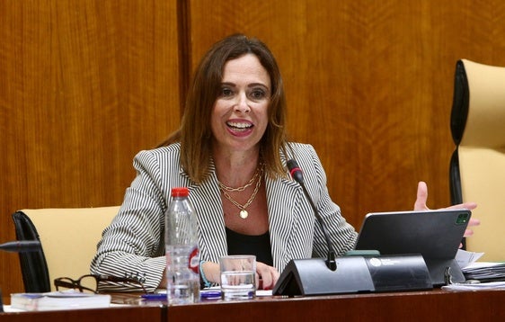 La renovación de los pantalanes del puerto de Roquetas está previsto que comience antes de fin de año