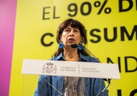 Ana Redondo en una rueda de prensa esta mañana.
