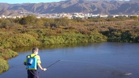 Roquetas realiza labores preventivas y de fumigación en la Ribera de La Algaida