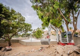 Algunos de los avances de la Rambla San Antonio de Aguadulce.