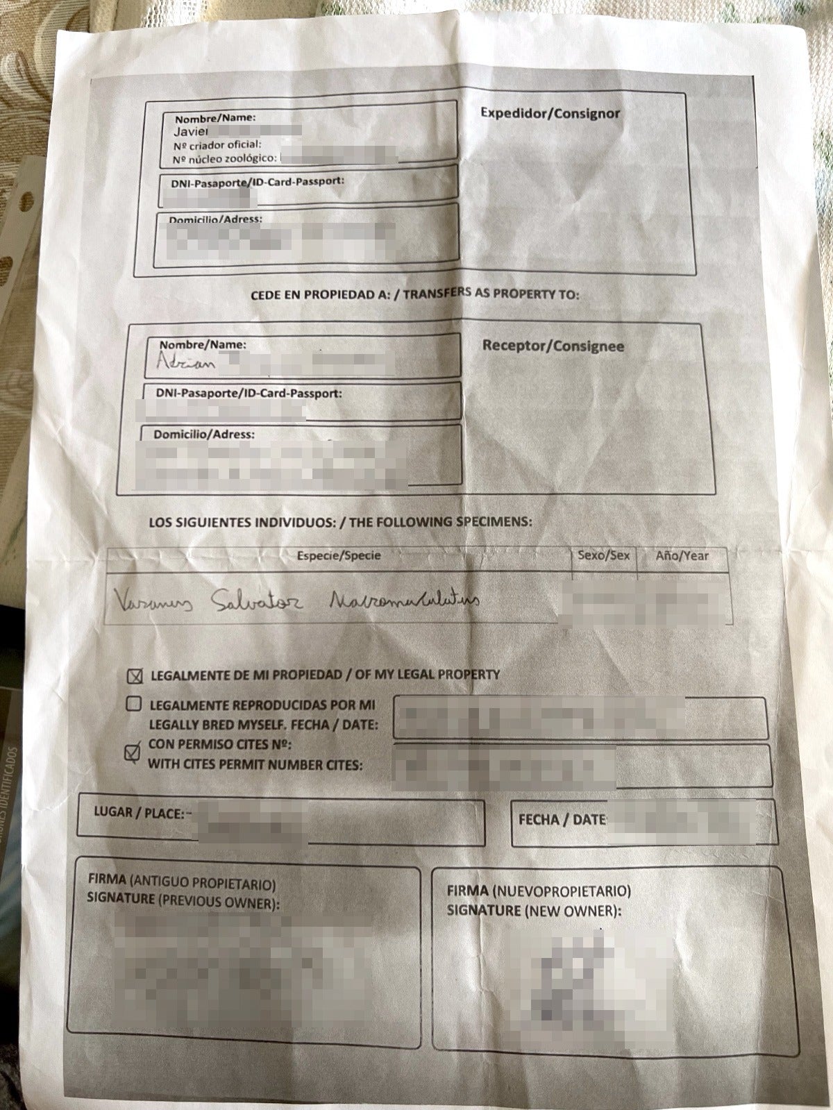 Documentación del varano salvator.