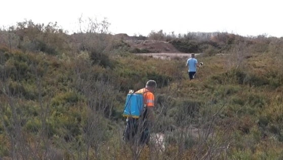 Roquetas avanza en sus labores de fumigación en la Ribera de la Algaida