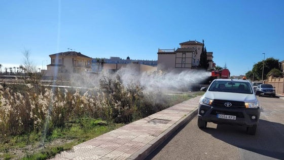 Instan a reforzar los medios de fumigación ante la proliferación de mosquitos y bichos en Roquetas