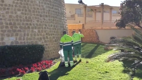 Roquetas realiza labores de mejora en el entorno del Castillo de Santa Ana
