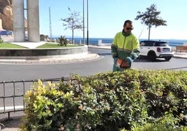 Un trabajador se encarga de las labores de poda en esta zona.