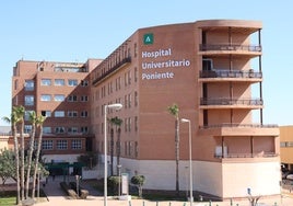 Evacuado al hospital tras caerle una rama encima en Roquetas de Mar