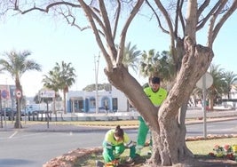 Dos trabajadores se encargan de labores en el municipio.