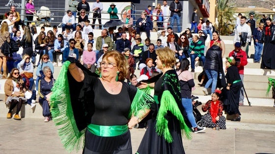 Vícar suspende las actividades por el Día de Andalucía debido a las lluvias