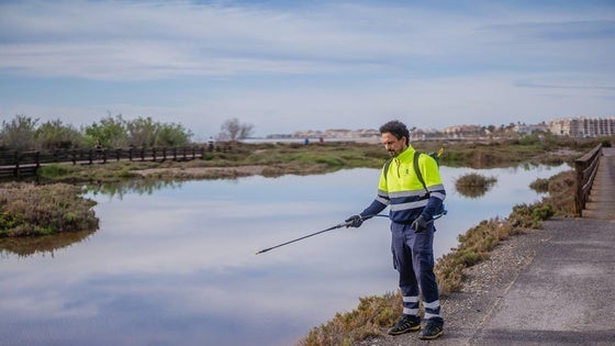Roquetas avanza en sus labores de fumigación en la Ribera de la Algaida
