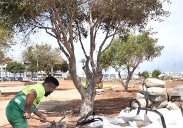 Algunos de los trabajos en los alrededores de la calle Vigo.