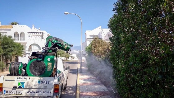 Roquetas refuerza las labores de prevención de mosquitos en la Urba y alrededores