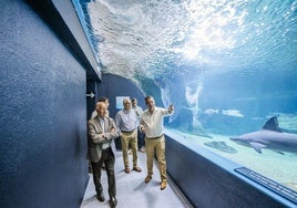 El Aquarium Costa de Almería gana un aliado en América, en imágenes