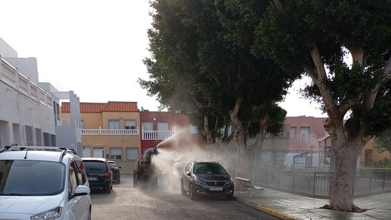 Vícar refuerza el control de plagas de mosquitos con una fase de fumigación