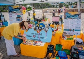 Uno de los puestos de concienciación ambiental en la playa de la Ventilla de Aguadulce.