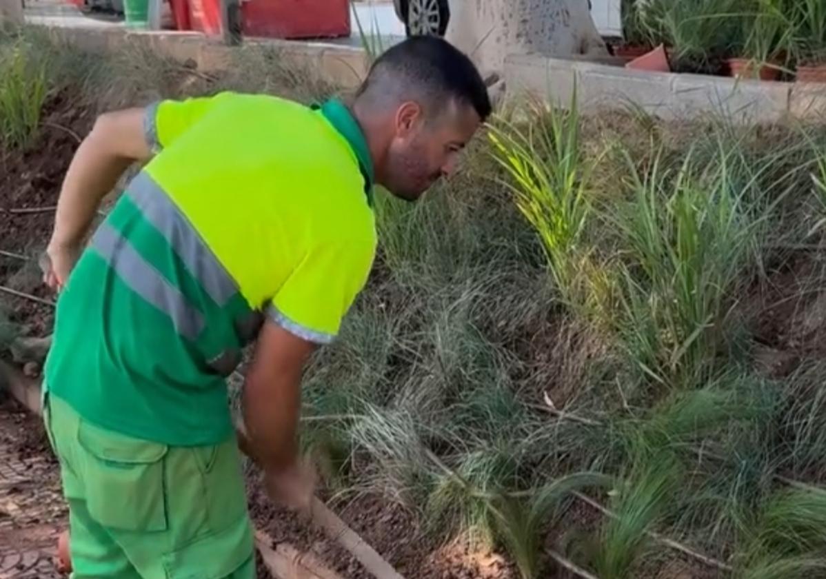 Uno de los trabajadores se encarga de mejorar unos jardines.
