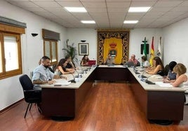 El Pleno se celebra en el Ayuntamiento de La Mojonera.