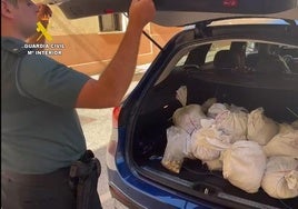 Dos detenidos en Roquetas de Mar con más de 13.500 euros en monedas falsas