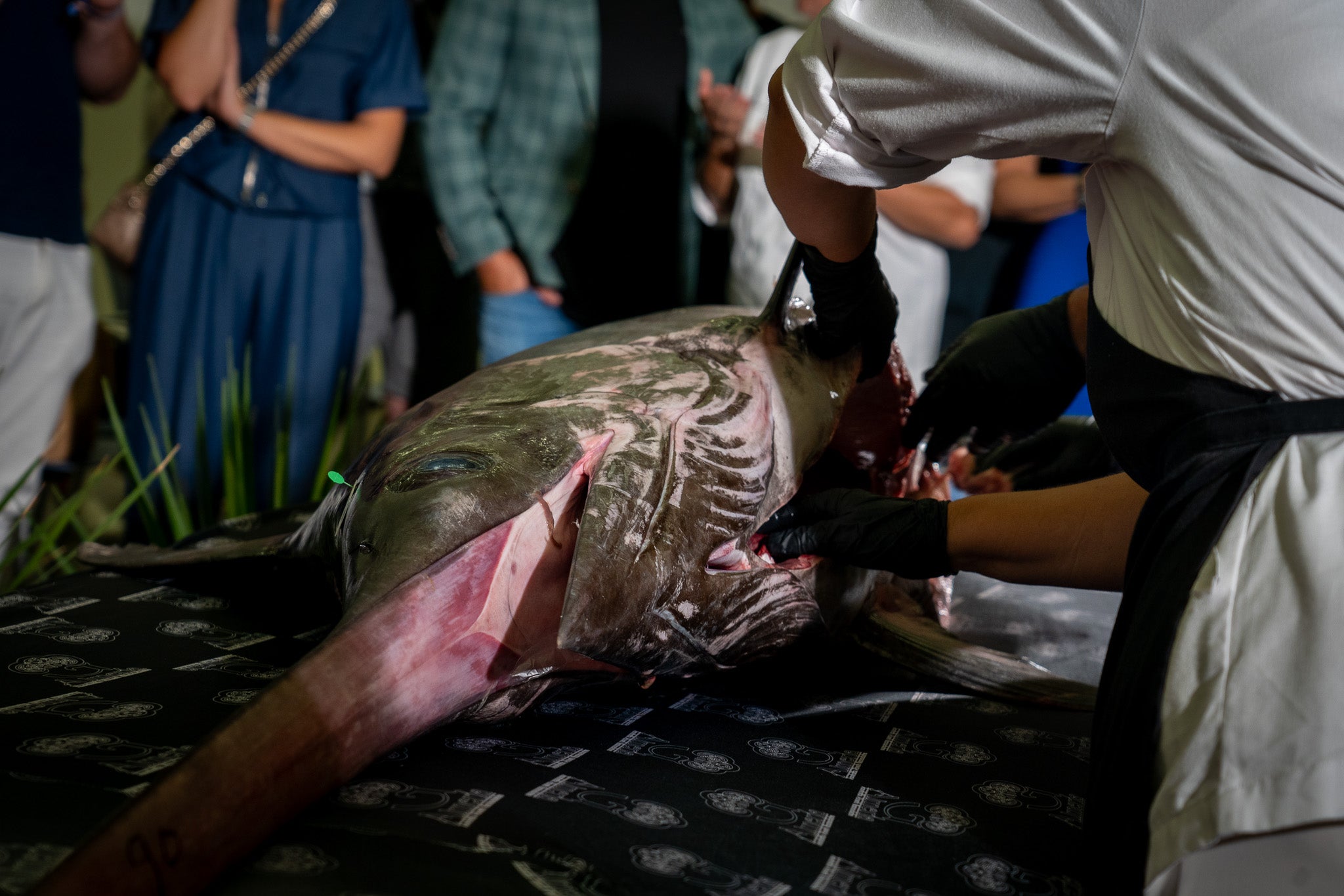 Roquetas refuerza su liderazgo gastronómico con la celebración del I Congreso MareTerra, en imágenes