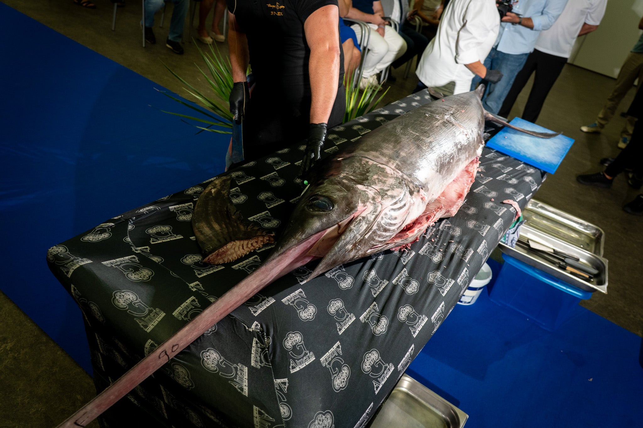 Roquetas refuerza su liderazgo gastronómico con la celebración del I Congreso MareTerra, en imágenes