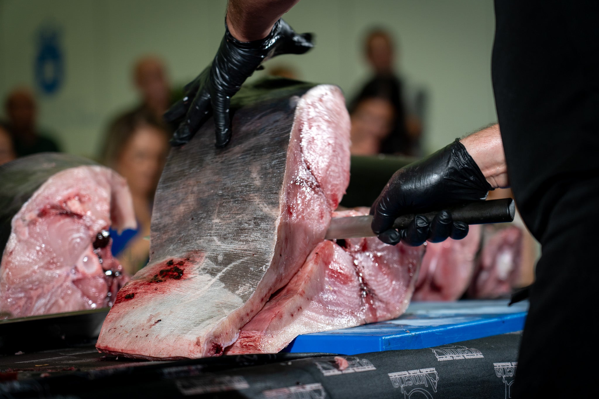 Roquetas refuerza su liderazgo gastronómico con la celebración del I Congreso MareTerra, en imágenes