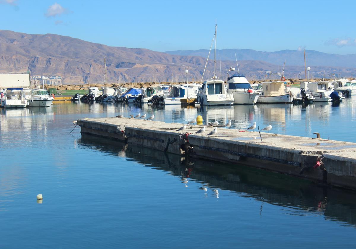 Uno de los pantalanes que se están construyendo en el Puerto de la localidad de Roquetas de Mar.