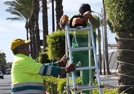 Los trabajadores se encargan de realizar distintas labores.