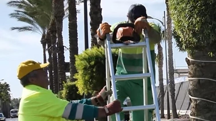 Roquetas realiza trabajos de poda y jardinería en la carretera de Alicún