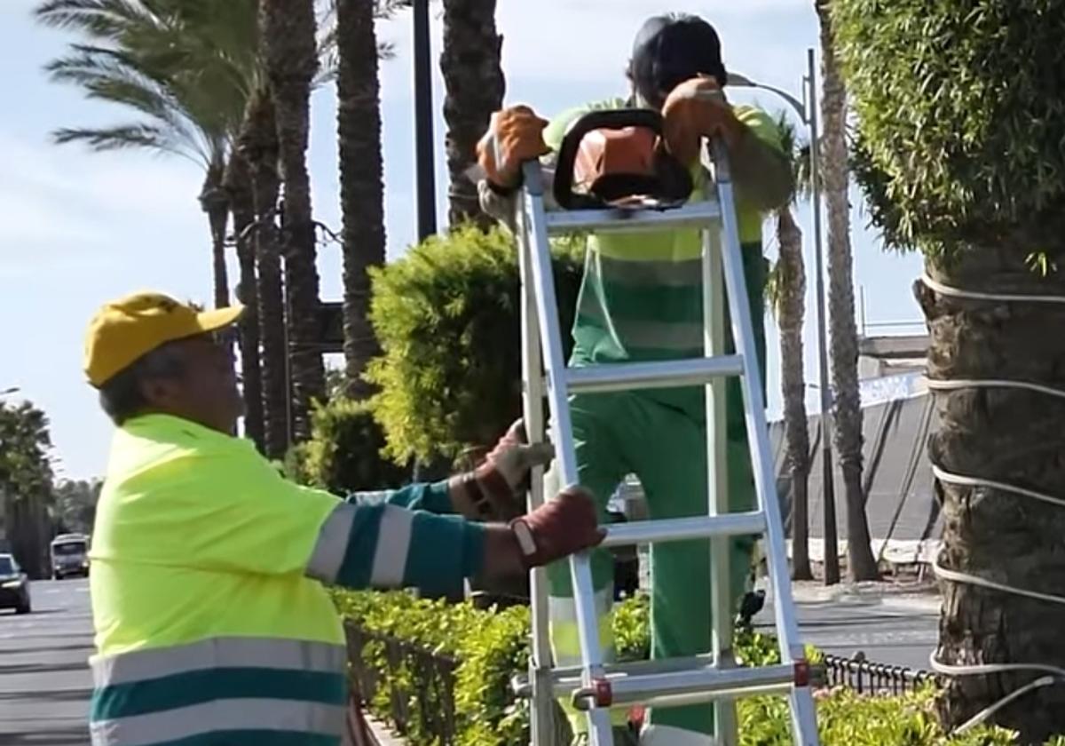 Los trabajadores se encargan de realizar distintas labores.