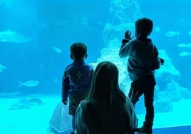 Zaida junto a sus hijos en el acuario de Roquetas de Mar.
