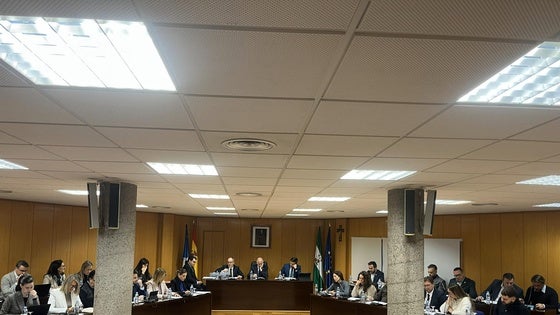 Sale adelante el Plan Estratégico de Subvenciones de Roquetas