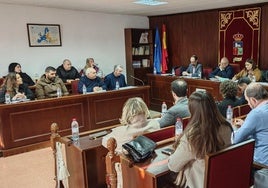 Imagen del Pleno del Ayuntamiento de Vícar.