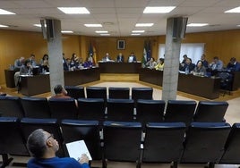 El primer Pleno Municipal del Ayuntamiento de Roquetas de Mar del año ha contado con tan solo once puntos en el orden del día.