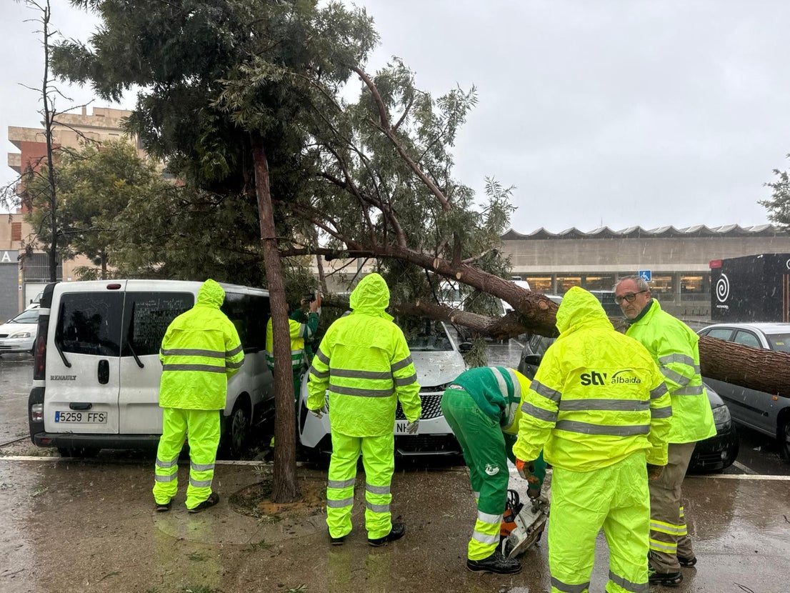 Servicios Municipales de Roquetas trabajan a pleno rendimiento durante el temporal, en imágenes