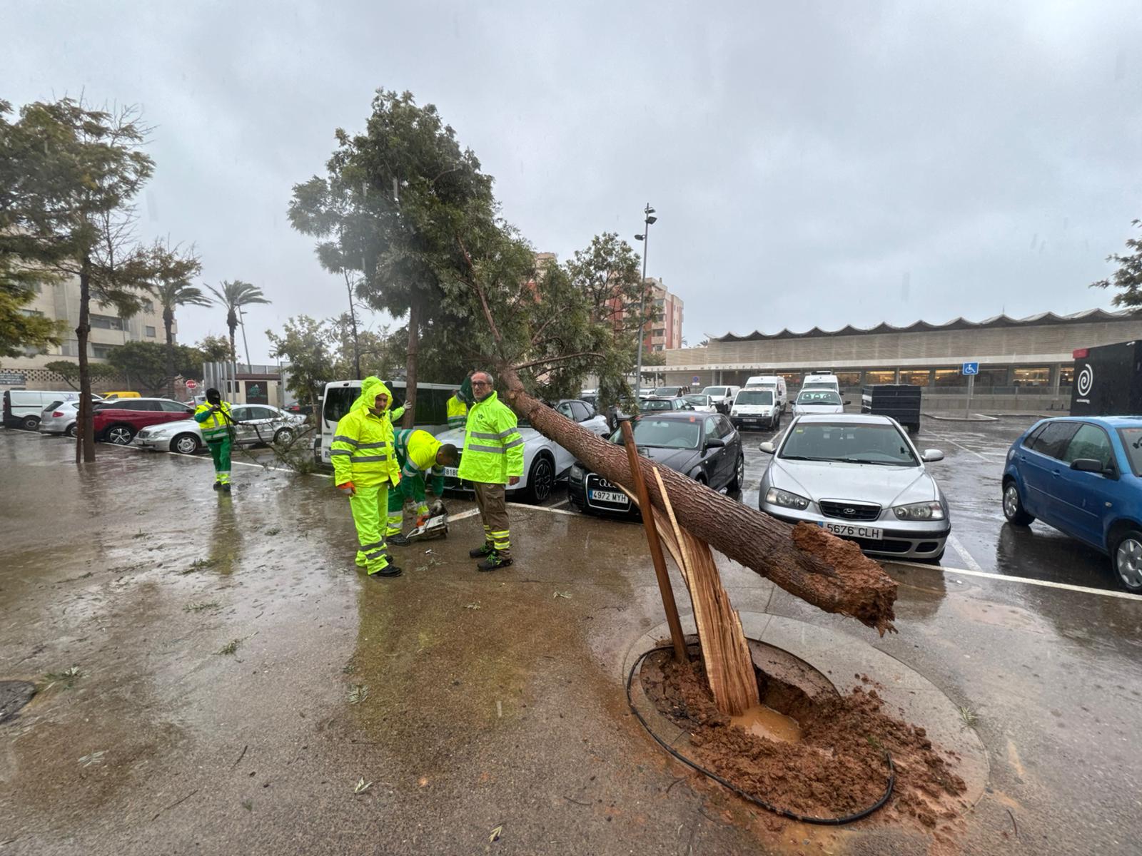 Servicios Municipales de Roquetas trabajan a pleno rendimiento durante el temporal, en imágenes