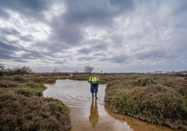 Este servicio se ha intensificado debido a las intensas precipitaciones registradas de las últimas semanas.