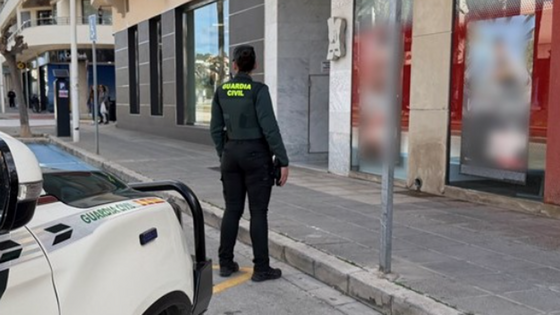 Detienen a dos varones como presuntos autores de un robo con violencia con la técnica del 'mataleón'