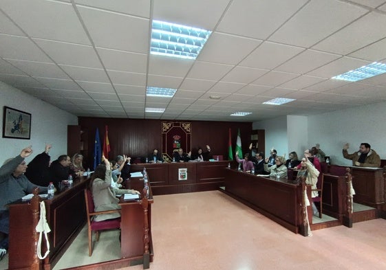 Uno de los momentos vividos en el pleno celebrado en el Ayuntamiento de Vícar.