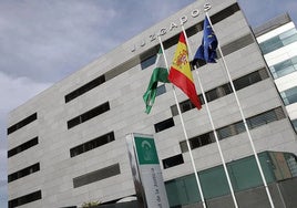 Internan en régimen cerrado al menor investigado por intentar asesinar a su madre en Vícar