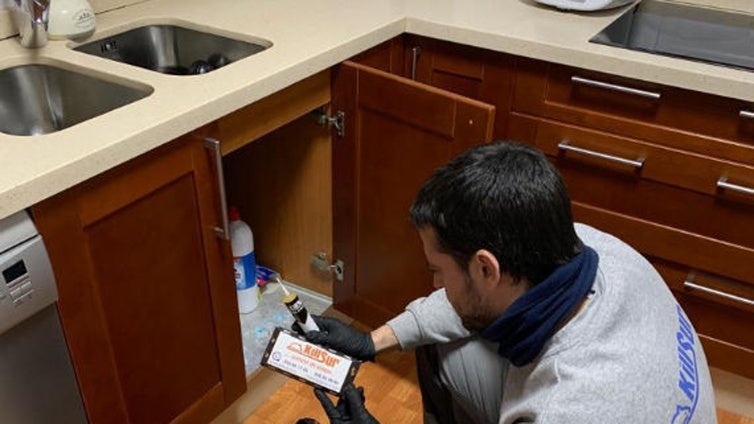 Killsur, la empresa que elimina las plagas