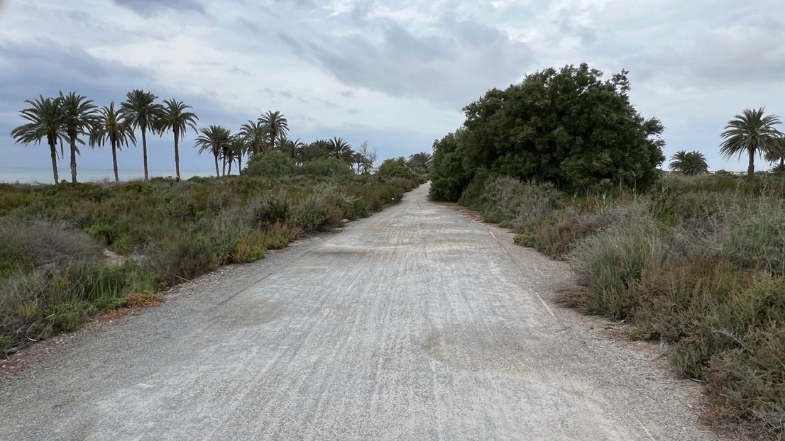 El deterioro del corredor verde de la Ribera de la Algaida, en imágenes