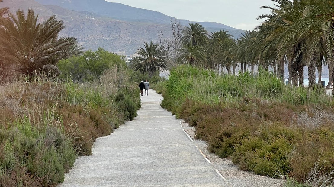 El deterioro del corredor verde de la Ribera de la Algaida, en imágenes