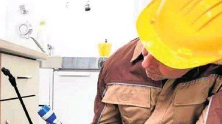 KILLSUR, protección profesional frente a las plagas de agosto