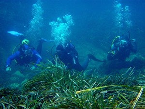Cuatro actividades en la naturaleza programadas para este mes de julio