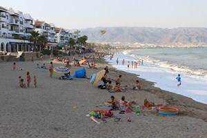 El PSOE propone  más cuidados para la posidonia en la limpieza de playas