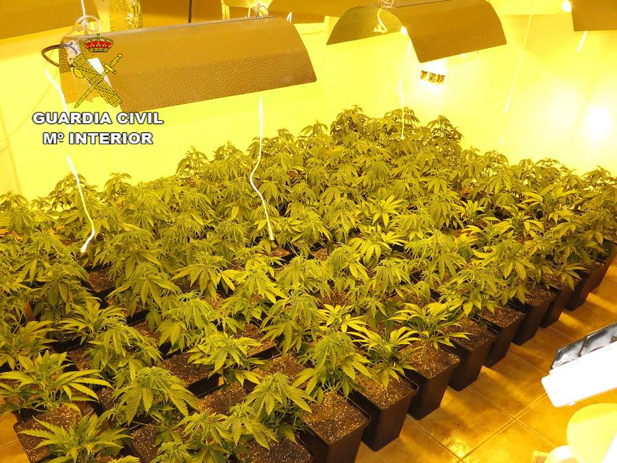 La Guardia Civil desmantela un punto de droga y detiene un grupo dedicado a robar en negocios