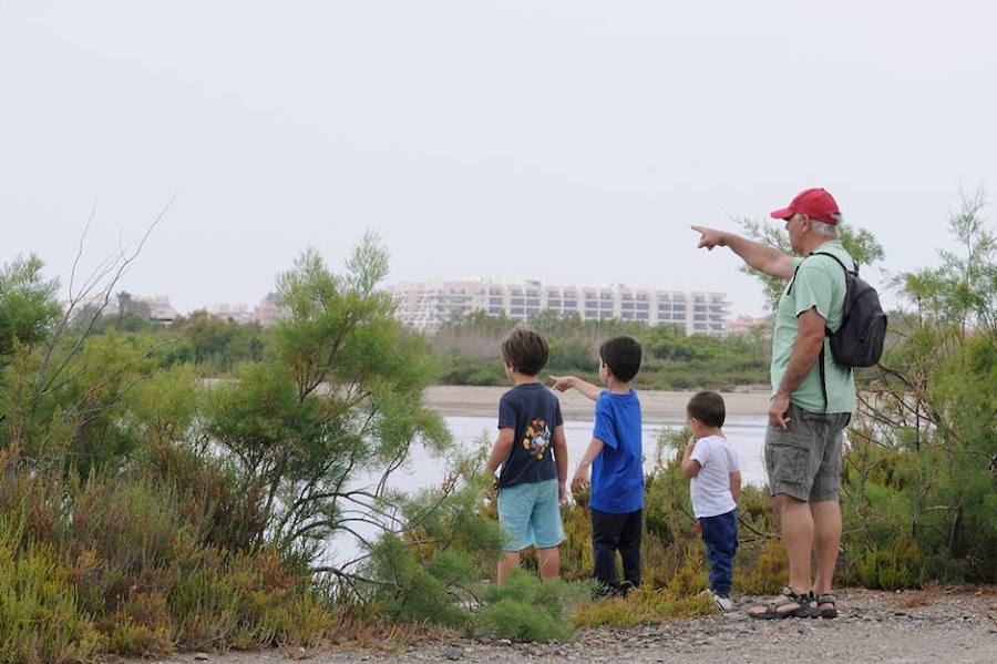 Crecen las peticiones para ‘blindar’ legalmente la Ribera de la Algaida