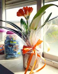 Imagen secundaria 2 - Impresión de viseras, cartas de ánimo y flores.