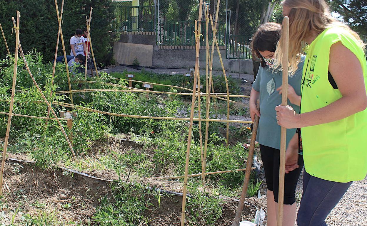 Huerto ecológico del Juan Pasquau.