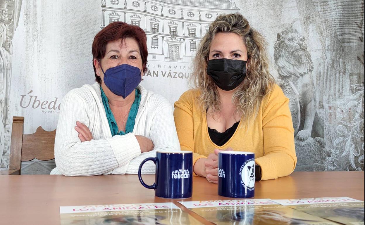 Campaña de la protectora de animales para captar voluntariado que colabore en su albergue
