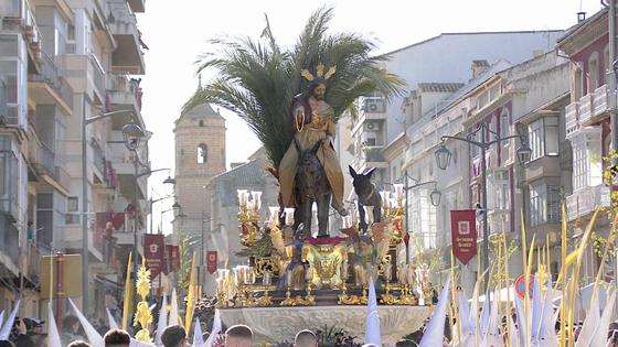 Multitudes en las calles al paso del Borriquillo